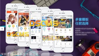 漫画小说源码