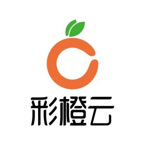 南京彩橙信息科技 赋能数字化未来的创新力量