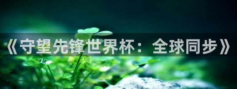 世界杯足球2026：《守望先锋世界杯：全球同步》