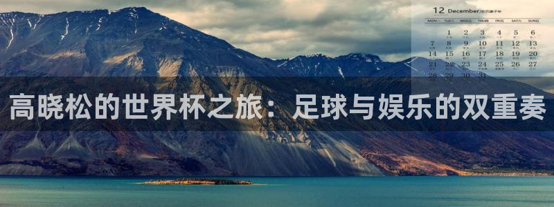 亚洲杯足球：高晓松的世界杯之旅：足球与娱乐的双重奏