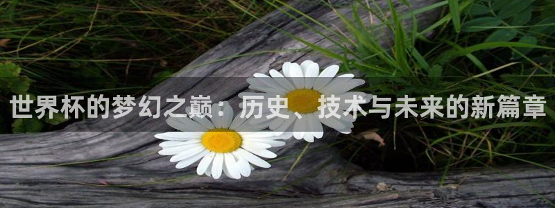 世界杯欧洲区预选赛：世界杯的梦幻之巅：历史、技术与未来的新篇章
