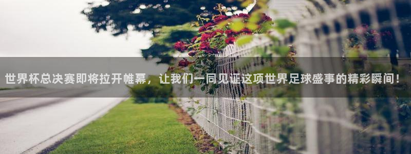 2026 世界杯：世界杯总决赛即将拉开帷幕，让我们一同见证这项世界足球盛事的精彩瞬间！