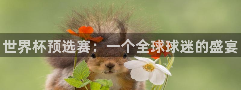 世俱杯直播：世界杯预选赛：一个全球球迷的盛宴