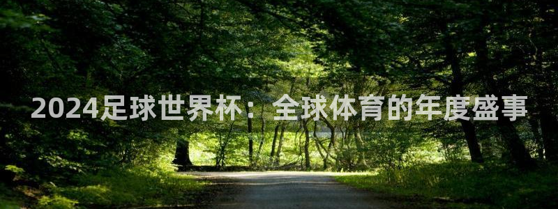 世界杯比赛时间：2024足球世界杯：全球体育的年度盛事