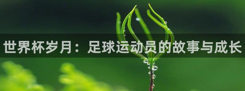 世界杯预选赛赛程时间表：世界杯岁月：足球运动员的故事与成长