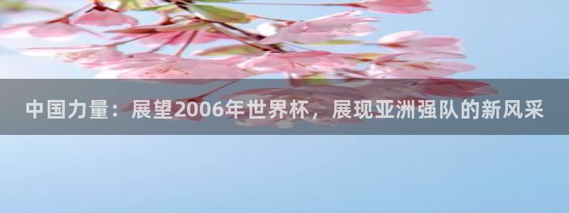 2026年世界杯：中国力量：展望2006年世界杯，展现亚洲强队的新风采