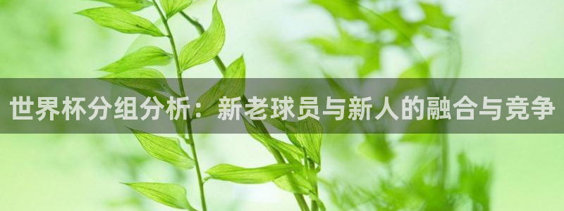 女足世界杯赛程:世界杯分组分析:新老球员与新人的融合与竞争